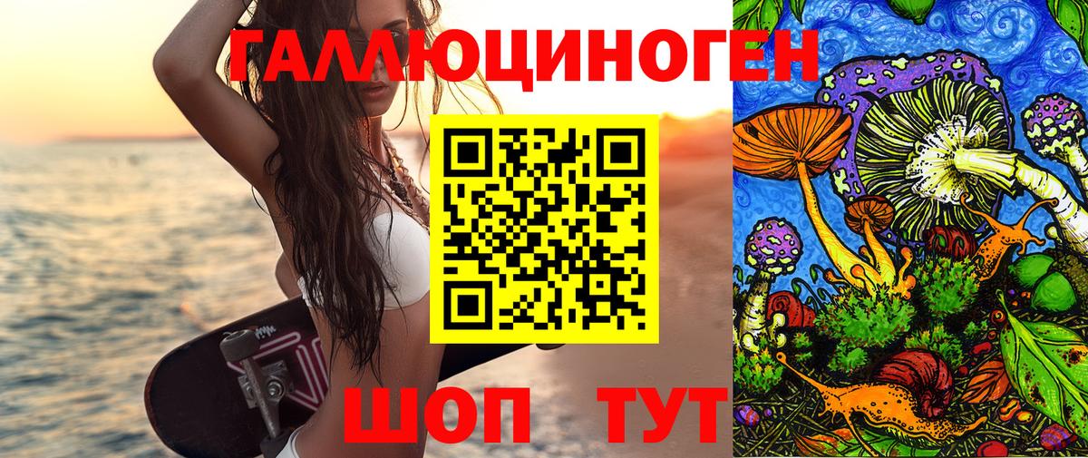 Псилоцибиновые грибы прущие грибы  как найти закладки  Елизово  Вход с VPN 